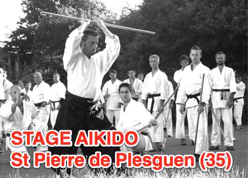 stage_aikido_st_pierre